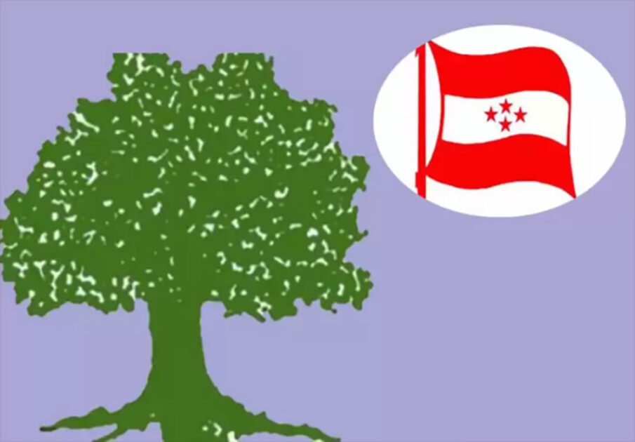 प्युठानमा ६४  वडामा नेपाली काँग्रेसको अधिवेशन सम्पन्न