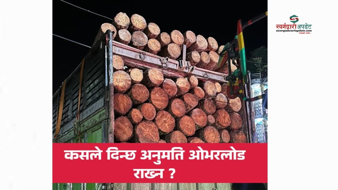 प्युठानबाट कसले दिन्छ ओभरलोड काठ बोक्ने अनुमति?